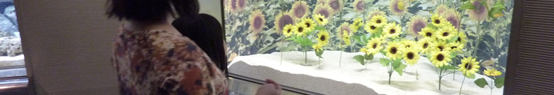 HENCKELS 包丁についてご存知でしょうか？