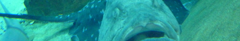 カラコン、大変なんです。